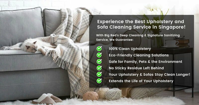 Sofa & Upholstery Cleaning Service in Singapore