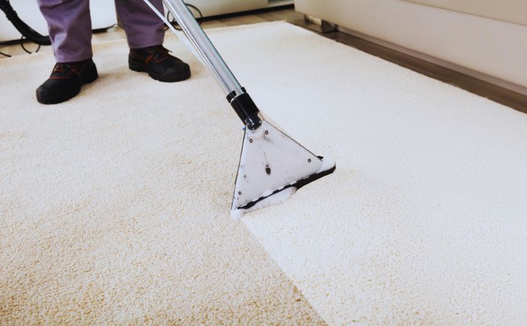 Carpet Cleaning Techniques: A Comprehensive Guide