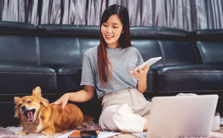 Expert Tips for Keeping Carpets Clean in Pet-Friendly Homes