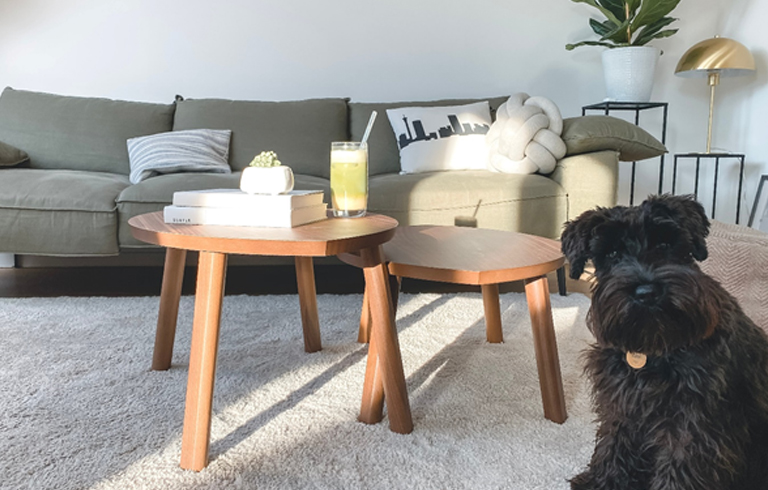 Carpet Cleaning Enzymes - Effortless Cleaning