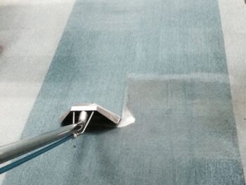 Carpet cleaning shampoo foam steam