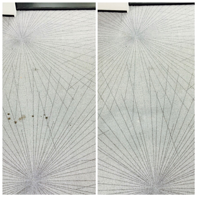 Carpet Stain Removal
