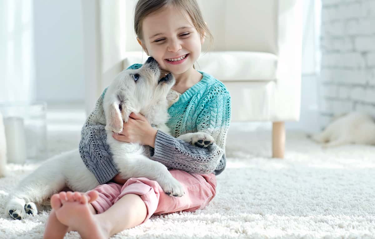 6 DIY Carpet Cleaning Tips That Really Work