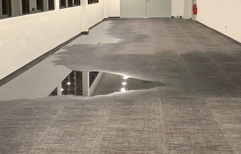 Drying Carpet after Water Damage