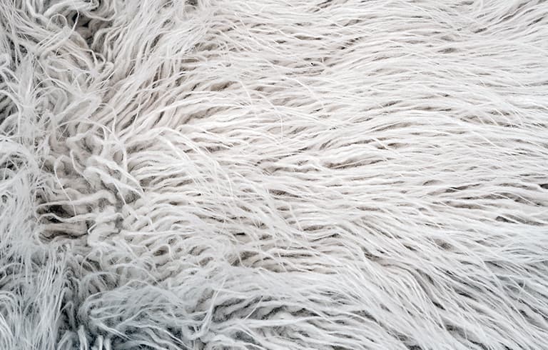 Is Carpet Shedding Harmful?