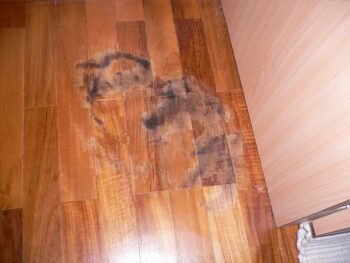 Parquet Flooring Maintenance