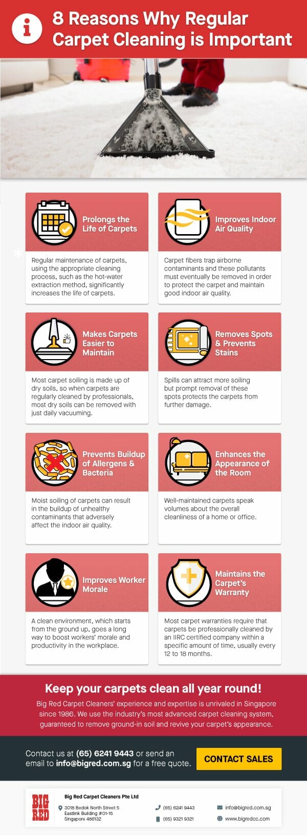 8 Reasons Why Regular Carpet Cleaning is Important
