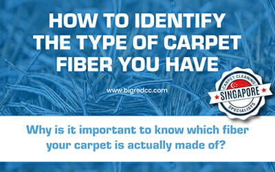 How to Identify The Fiber Type of Your Carpet