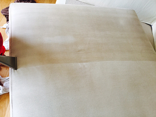 Upholstery cleaning sofa residential singapore