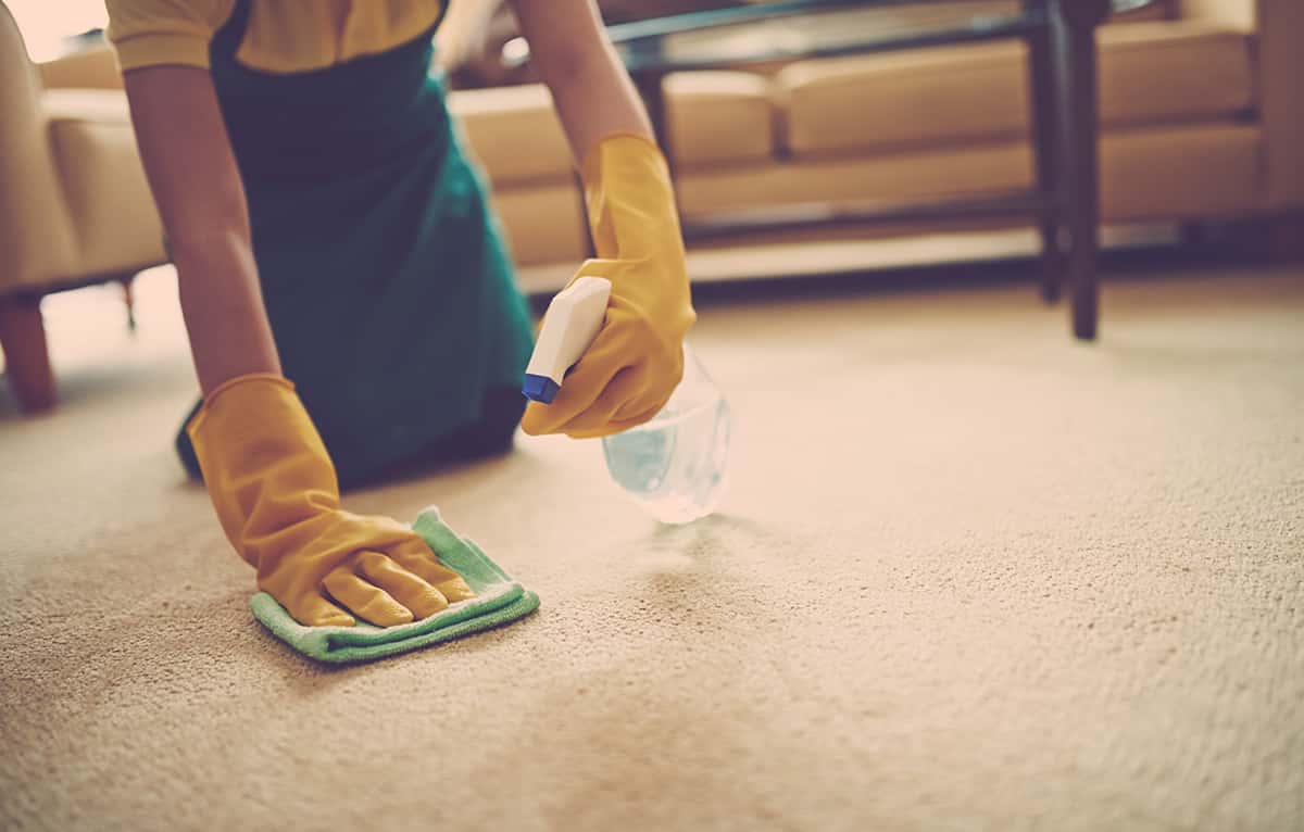 Why Hiring Cheap Carpet Cleaners May be a Mistake