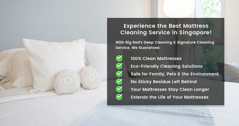 best mattress cleaning service singapore