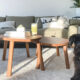 carpet cleaning enzymes efortless cleaning fi 80x80