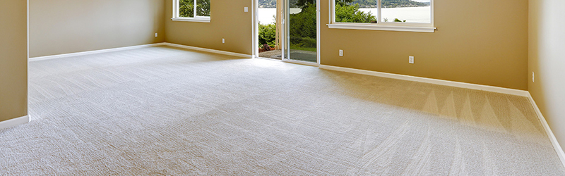 carpet cleaning myth no need clean