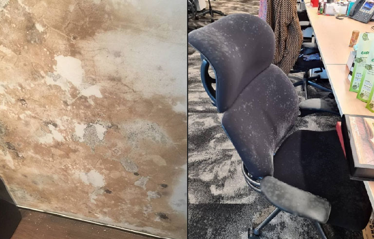 damp stained areas location for mold