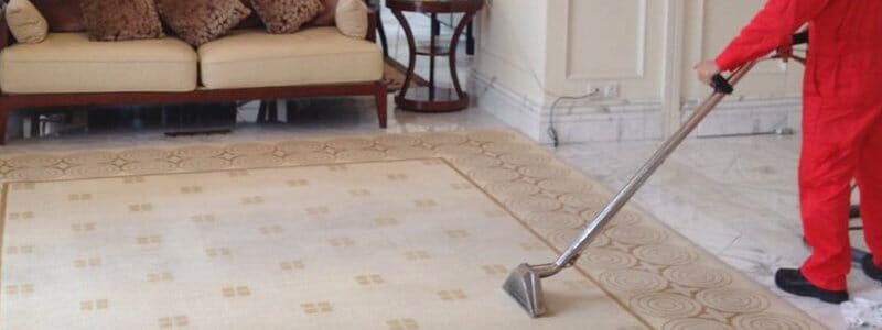 health effects pet dander upholstery professional sofa carpet cleaning singapore