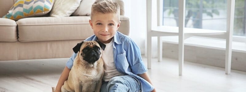 health effects pet dander upholstery sofa carpet cleaning singapore