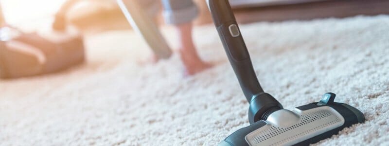 health effects pet dander upholstery sofa carpet cleaning singapore vacuum regularly