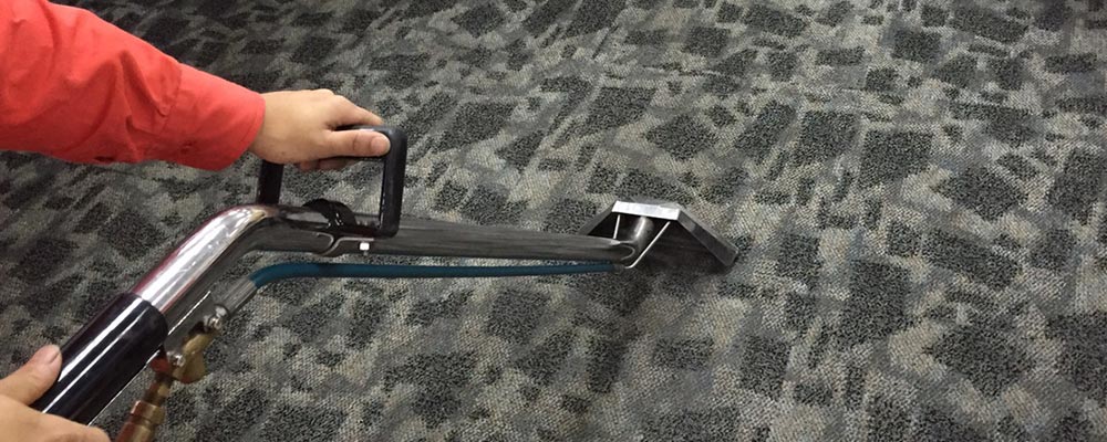 hot water extraction carpet cleaning