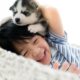 is pet dander threat home health 80x80