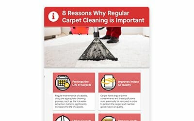 regular carpet cleaning singapore commercial residential office