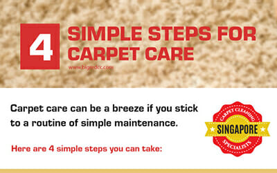singapore carpet care professional cleaning maintenance