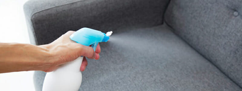 upholstery cleaning sofa stain protection