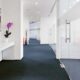 why you should get office carpets cleaned professionally 80x80